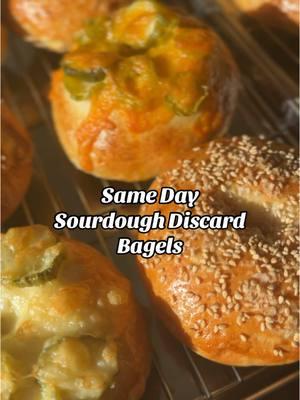 same day sourdough discard bagels #homemadebagels #bagelrecipe #sourdoughdiscard #creatorsearchinsights 