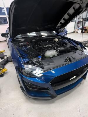 In the shop sitting pretty @Ford Motor Company #fyp #foryoupage #cleancarsoftiktok #carcontent #mustang 