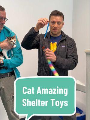 ACC would like to give a huge thank you to Andrey, the CEO (Cat Entertainment Officer) of  @Cat Amazing , for donating over 10,000 incredible toys he designed specifically for shelter cats! 🐾✨ Collaborating with our Feline Behavior Specialist,  @Stephen, Andrey created a reusable, easy-to-clean, and super interactive toy perfect for kennel environments. Want to learn more about the creative process? Check out their blog: catamazing.com/blogs/cat-amazing-blog. Visit our Queens, Manhattan, or Staten Island locations to meet adoptable cats, or browse all available pets at nycacc.app or on the "ACC of NYC" mobile app! 🐱 #NYCACC #Boroughbred #CatAmazing #ShelterCats #CatEnrichment