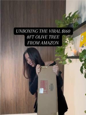 $160 ✨TRANSFORMATIVE✨ unboxing the viral and affordable 8ft faux olive tree from Amazon #unboxing #unboxingvideo #homedecor #homedecorideas #organicmodern #olivetree #fauxolivetree #amazonfinds #amazonhome #livingroomdecor #livingroom #fyp #decor #Home #fakeolivetree #decoration #foryou #finds #amazonmusthaves #livingroomdecor #luxurydecor #luxuryhomedecor 