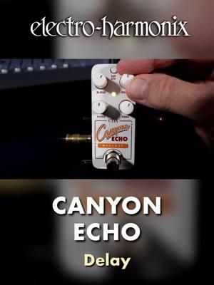 EHX Pico Canyon Echo digital delay pedal demo by Bill Ruppert #ehx #electroharmonix #canyonecho #picoseries #nycdsp #guitarpedals