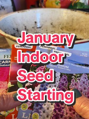 January seed starting zone 6 #indoorgardening #seedstarting #gardeningtips #indoorseedstarting #gardentok #plants 