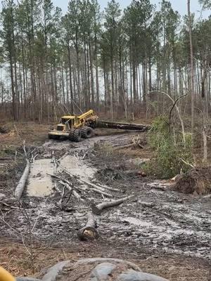 Another day of chasing storm wood!#tigercat #tigercatforestry #tigercatskidder #tigercat620h #log #logging #logger #loggertok #loggingislife #loggerlife #loggers #fyp #fypシ #fypage #fypシ゚viral #fyppppppppppppppppppppppp #ga #georgia 