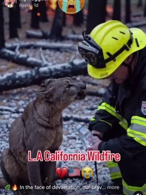 This video Hit different 🥲😞🙁🥺#californiawildfire #wildlife #sad #hitdifferent #share #help #california #foryoupage 