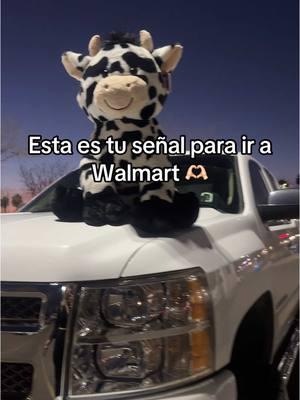 Vaquita para una vaquerita #parati #fypシ #rancho #countrymusic #vaquera #vaquero #walmart #michoacana🇲🇽🥑🐓 #baile #vaquita #corridos #cowprint #western 