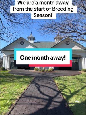 One month until our breeding shed opens! #breedersfarm2025 #breedersfarm #horseracing #thoroughbred #horsebreeder #equinereproduction #livecover 