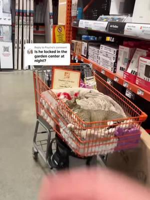 The best of Leo 🐱#catdad2020 #catsoftiktok #homedepot 