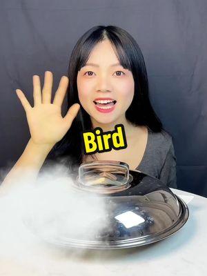 I will post videos on tiktok till the day it banned 😭 you can find me just check my bio. I love yall u made my day and year! I am crying #mukbang #eating #eatingshow #birdmukbang #eatingbird #cateats #sillyfun #tiktokban #tiktokrefugee 