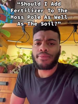 When a plant is rooted into a moss pole, the pole becomes an expansion of the pot that holds a large portion of the root system. I always recommend applying liquid fertilizer to your moss pole #mosspole #plantcare #foryoupage #foryou #fyp #fy #tiktok #trending #PlantTok #planttiktok #plantsoftiktok #houseplanttok #houseplanttiktok #plantdad #plantperson #houseplantsoftiktok #plant #houseplant #houseplants #gardening #plantparent #plantcollector #plantythings #plantparentthings #plantperson #plantpeople #lgbt #lgbtq #gay #blackplantdad #gayplantdads 