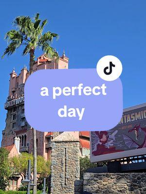 and if this is your perfect day too, we should be friends 💕 #disneygirlforlife #disneyismyhappyplace #hollywoodstudiosdisney #waltdisneyworldresort #waltdisneyworldparks #disneyvibes #perfectdisneyday #disneysunsetblvd #disnehollywoodstudios #towerofterror ##disneytowerofterror #woodyslunchbox #disneyshopping 