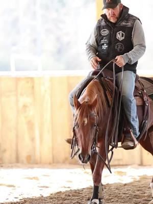 The babies are coming along!  #NextLevelPerformanceHorses #horsetraining #horsetrainer ##ranchhorse #horsesoftiktok #aqha #aqharanchriding #crossjtack #donrichsaddlery #caitrussellphotography #equestriancait #saltoffheearthcustomleather 