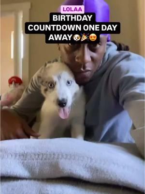 #2025 #🔥 #view #momolebeau #xyzcba #fy #fypシ #fyppppppppppppppppppppppp #viralvideo #trending #inspire #puppy #puppytiktok #dog #dogsoftiktok #dogs #dogsofttiktok #dogbirthday #doglover #doggo #doglife #doglove #celebration 