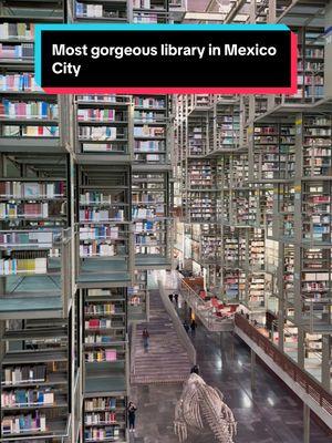 This library in Mexico City has shelves and walkways made of glass so it looks like the books are floating! #visitmexicocity #mexicocitythingstodo #librariesoftiktok #travelcdmx #bibliotecavasconcelos #travelmexico 