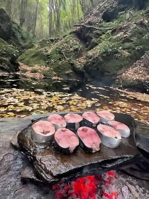 Fresh salmon cooked on natural hot stones 🐟🪵🔥💦🏔 #outdoorcooking #cookingasmr #Recipe #leon #cookingnature #foodtiktok #camping #cooking #salmon 