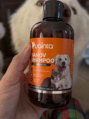 Aqui les dejo el link 🧡#dog #pets #pet #dogs #fyp #dogshampoo #petshampoo #TikTokShop 