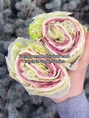 Ok I’m obsessed. If you want to see more content like this follow my insta hashtagketoqueen 💚I took 3 pieces of lettuce from a head of lettuce and then added mayo, mustard, chicken, provolone, pickled onions, red wine vinegar, Italian seasoning. I used parchment paper to roll it up. 10/10. #lowcarbrecipes #lowcarblunch #ketolunch #easylunchideas #easylunch #lettucewrap 