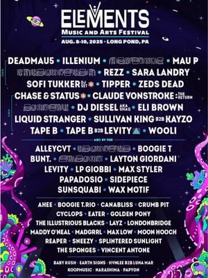 Unbelievably stacked phase 1 lineup from @Elements Music & Art Festival Can’t wait to return this year 😮‍💨 #elementsfestival #lineup #electronicmusic #housemusic #bassmusic #festival #dubstep 