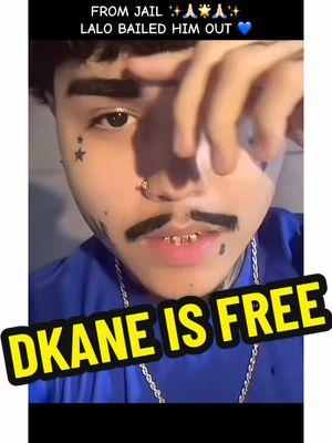 DKANE JUST GOT RELEASED FROM JAIL ✨🙏🏻🌟🙏🏻✨ #autism #autismawareness #autismacceptance #autismoftiktok #autistic #autisticadult #autistictiktok #autismmom #dkane #lalo #arad #vs #battle #babymomma #babymama #dekalb #thealimoe #babyalimoe #chicago #sayitaintso #father #mother #mom #dad #son #child #children #family #friend #bestfriend #Love #happy #kiss #kisses #newborn #baby #babies #fy #fyp #foryou #foryourpage #fypシ #fypage #fypシ゚viral #viral #trending #share #duet #stitch  #trend #travel #sports 