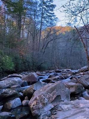 #appalachia  #oliveranthony #countryroadstakemehome #creekwater #peacefulplace #mountains #northgeorgiamountains #bluegrass #southernappalachia 