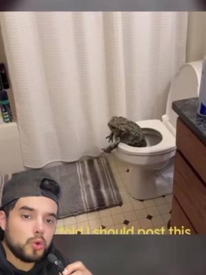 sapo gigante encontrado en el baño #bruja #chupacabra #skinwalker #paranormal #paranormalactivity #actividadparanormal #fantasmas #miedoyterror #paranormaltiktok #terrorsobrenatural #ovnis #greenscreenvideo #sirena #sirenareal #miedo #hada #nahual