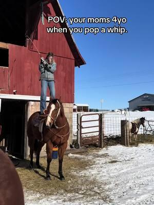 Bae thinks life’s ending 😂 #western #funnyhorse #memorecowboythanyou #shittrained #rodeoshitshow #beyou #jesuslovesyou #letgodlead #loveyourself #kisskiss 