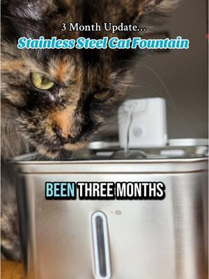 A stainless steel cat fountain is definitely where it’s at 😻 #cat #catsoftiktok #cattok #catfountain #petfountain #catwaterfountain #catdrinkingwater #cattips #wirelesscatfountain #catfountains #catowner #tiktokshopfinds #fyp #tiktokshopjumpstartsale 