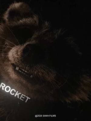 Nobody in the MCU had it worse then Rocket man 💔😔 #foryou #viral #edit #gaurdiansofthegalaxy #rocketedit #mcu #avengers #marvel IT’S ALL FAKE (ORIGINAL CONTENT THIS IS MY VIDEO TIKTOK I MADE IT ON A EDITING SOFTWARE)