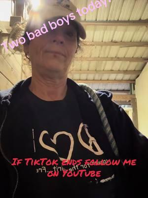 TikTok is maybe coming to an end. If you enjoy these crazy horses follow me on YouTube. #florida #fyp #horses #horsesoftiktok #freedomride #volunteer #youtube 