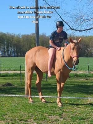 Loves people ✅ Loves kids ✅ Loves attention ✅✅ Loves learning ✅ Brave ✅ Smart ✅ He'd crush it🤷‍♀️ #horse #hearthorse #equine #equestrianlife #equestrian #fyp #foryoupage #lugosthepalomino #lessonhorse #horsetraining #horseriding #horseridinglesson 