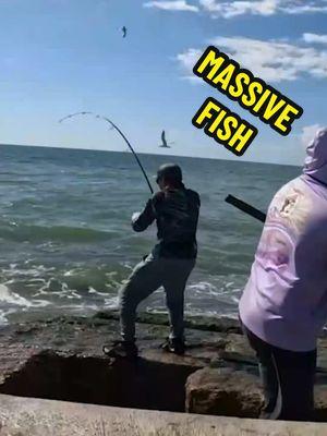 This Rusty Old SPOON Caught a MASSIVE Fish!!🔥🥄  I caught my favorite fish using an old rusty spoon I had in my tackle box, whenever these fish get together and start a feeding frenzy; its pure chaos🔥🎣  #Saltwater #Trevally #Baits #BigFish #Jetty #Massive #Texas #GGAnglers #Anglers 