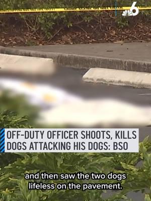 Tragedy in Tamarac! An off-duty police officer shot and killed two dogs who were attacking his dogs in the parking lot of a hotel, officials said. Broward Sheriff's deputies responded at around noon to calls of a shooting in the parking lot of Extended Stay America Suites. Footage from Chopper6 showed two white tarps draped over the canines. #dogs #officer #hotel