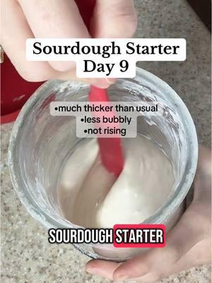 Day 9, still hopeful I think #sourdoughbread #sourdoughstarter #sourdough #sourdoughstarters #makingsourdough #sourdoughforbeginners #sourdoughtiktok #sourdoughfeeding #feedingsourdoughstarter #starter 