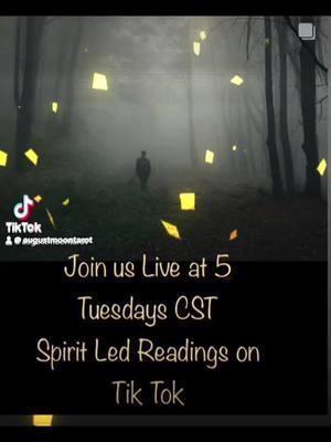 Don’t miss out tonight!!  5:00 CST Please only ask your question once, spamming gets you blocked NOT moved to the front!   So come, be cool, and have fun with us. # . . #Augustmoontarot #fyppppppppppppppppppppppp #liveat5 #psychic #medium #tarot #tarotclass #AugustMoonLive #Love #animals #entertainment #Augustmoontarot 