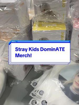 Stray Kids DominATE Tour Merch has arrived ✨ #straykids #straykidsstay #straykidsskzoo #skzoo #skzooplush #straykidsmerch #straykidscollection #straykidscollector #straykidsphotocards #straykidsphotocard #straykidsconcert #straykidstour #straykidsdominate 