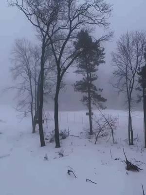 #nature #verymindful #verydemure #fog #snowboarding #dayslikethese #explore #adventure #outdoorfun #livingmybestlife #fy #winterishere #colderweather #themountainsarecalling #fyp #girlswhoshred #adrenalineaddiction #feelingfree #goodvibes #myhappyplace #snow #lol #minnesota #snowboardingtiktok #shredthegnar #snowboardtiktok #tistheseason #snowmaking #blackdiamond 