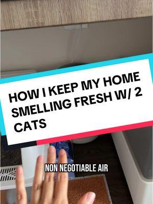 I also have a cleaning routine/ schedule. Cleaning regularly helps with any lingering/ hidden smells(such as a dirty trash bin) I open my windows daily as well to let in fresh air 🤗 #cleaningtips #pethealth #cathealth #cleaningwithpets 