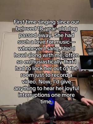 First time singing since our beloved 18-year-old dog passed away. She had such a love for music—whenever I sang, she’d howl along with me, often so enthusiastically that I had to lock her out just to record a video. Now, I’d give anything to hear her joyful interruptions one more time. #pet #petgrief #grief #dogs #dogsoftiktok #PetsOfTikTok #shihtzu #heartbroken #bobdylan #bobdylancover #makeyoufeelmylove