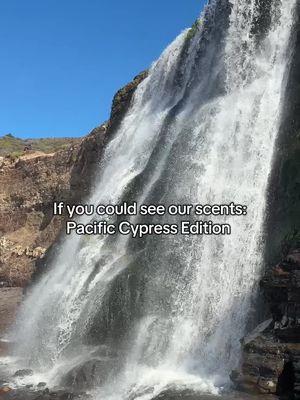 When’s the last time you saw a waterfall on the beach? #everymanjack 🤯🌊🌲