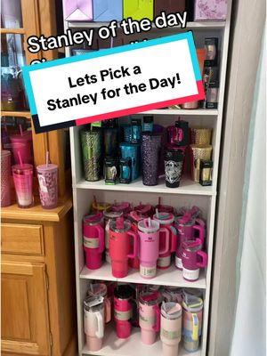 Let’s pick a Stanley of the day! Do you have red lava Stanley? This was my frist red Stanley. I got this when it was a Scheels exclusive!  #stanley #StanleyCup #stanleyoftheday #stanleycollector #asmr #redlavastanley #cuphunter 