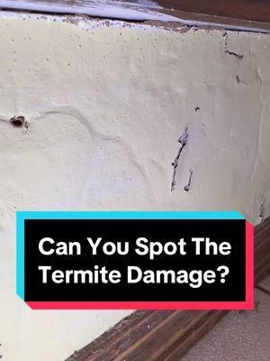 By the time you realize you’ve got termites, they’ve already set up a full buffet. At first glance, it might just look like bad drywall, but a deeper look reveals the real culprit. Here’s what termite damage looks like up close—so you know what to watch for before it’s too late. #termitedamage #drywallrepair #pestcontrol #homeinspectiontips #homeinspector #constructionfails