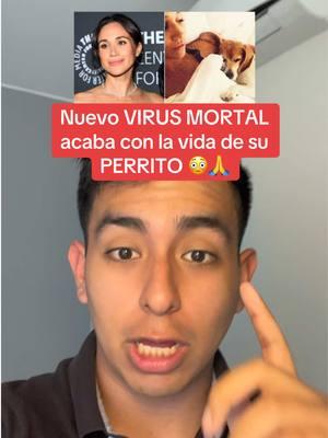 Ojala no llegue a tal extremo como en el 2020, pero debemos asegurar a nuestras mascotas, ellos no tienen la culpa de nada… #mascotastiktok #saludperruna #suitsnetflix #suits #meganmarkle #noticias #otherhalf #capcut 