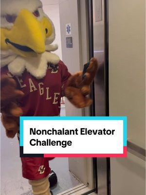 Hold the door for King Baldwin next time 🦅👑 #bc360 #beanpot #Baldwin #bostoncollege #collegelife #collegesports #collegehockey   @Baldwin @Boston University @Northeastern @Harvard 