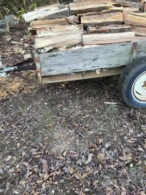 #firewood#2025 season has started#cutting for my sister#grandpaw’s old trailer #hard work 