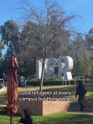 Don’t mind me , just here until my campus isn’t at risk of burning 😅 #ucla 