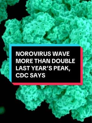 This winter's wave of norovirus infections has reached levels that are now more than double last season's peak, in figures published Monday by the Centers for Disease Control and Prevention tracking the notorious stomach bug. Nearly 28% of norovirus tests run over the week of the New Year's holiday came back positive for the highly contagious virus, which is the leading cause of foodborne illness like vomiting and diarrhea in the U.S. Read more at our link in bio. #norovirus #virus #sick #sickness #fyp 