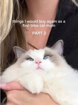 Follow on IG just incase🥲 (haulswithhales) Everything is linked🩷 #firsttimecatmom #catessentials #kittenessentials #cattoys #ragdoll #cutecats 