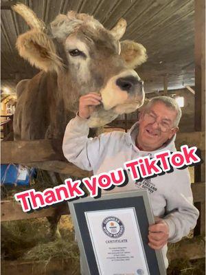 Thank you TikTok friends for loving and following us!  What an honor it has been to make so many people smile!  I hope I can find a way to continue to share all the farm and family things that bring us such joy.  #tommytheox #firemanfarmer #thanksforthelove #farmersdaughter 