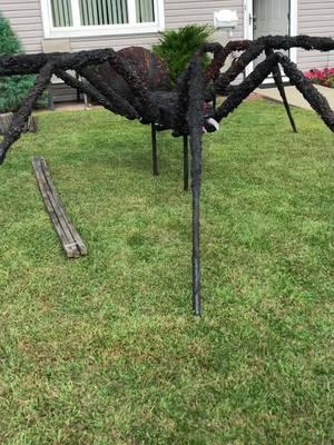 While tik tok is still here... here’s some giant spiders 🕷🕸  these were on the roof for about 3-4 years, I decided to take them down to clean up and repaint #spider #DIY #halloweenprops #byetiktok 