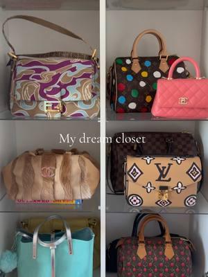 My dream closet 💘🌸 #closetgoals #dreamclosets #closetinspo #closetorganization #luxurycloset #handbags #handbagcollection #handbagtiktok #bagcollection #beautyroom #walkincloset #shoeroom #handbagstorage #handbagorganization #luxurybaglover 