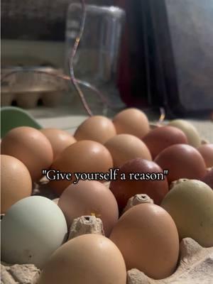 Find your purpose.  #homestead #homesteading #homesteadtoktok #homesteadlife #homemade #eggs #chickens #chickenmom #homesteader #homesteaders #homemade #sahm #stayathomemom #momlife #garden #gardening #preserve #canning #saving #gardening101 #countrylife #simplelife #sahmsoftiktok #sahmomsbelike 